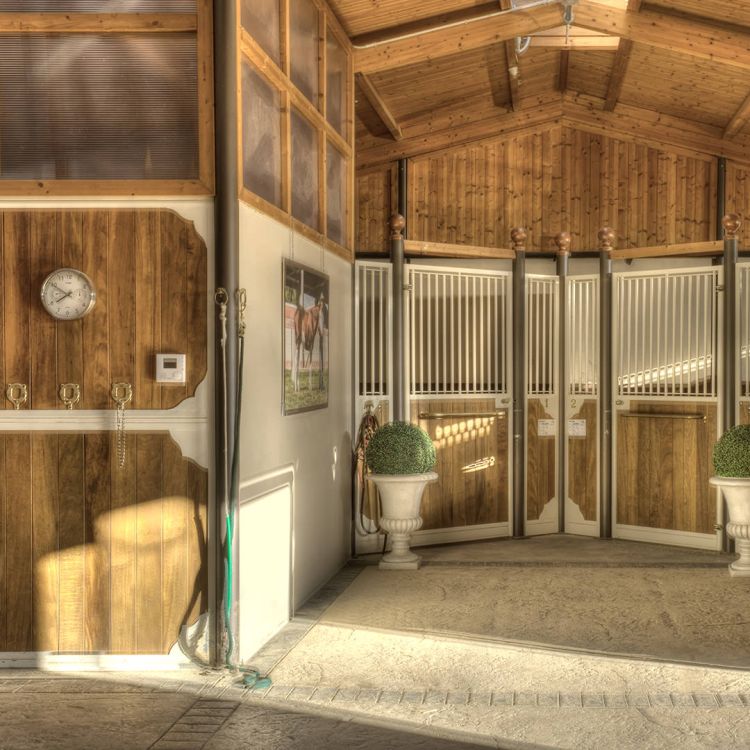 Orlandini Equine
