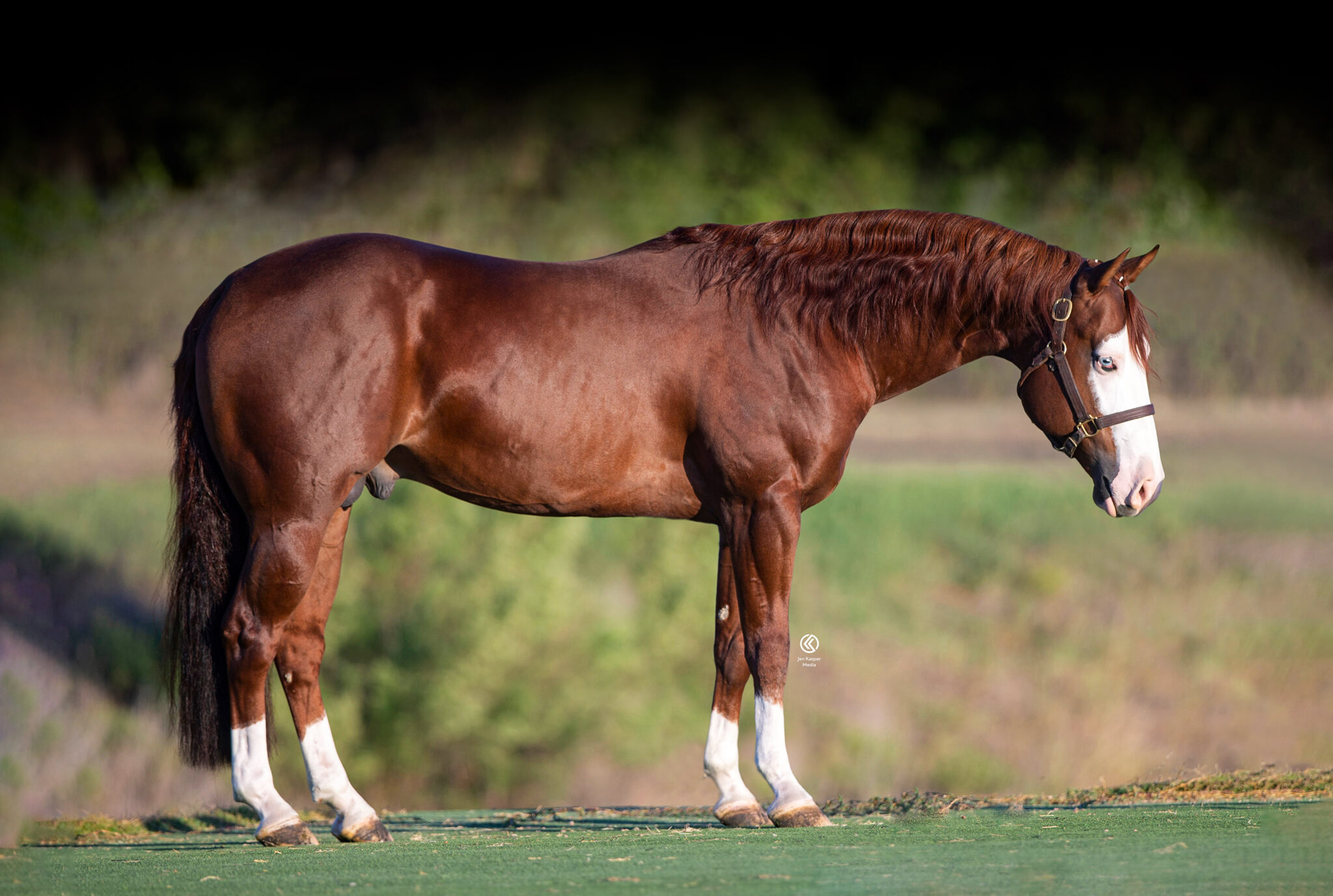 DOWN RIGHT AMAZING Portrait