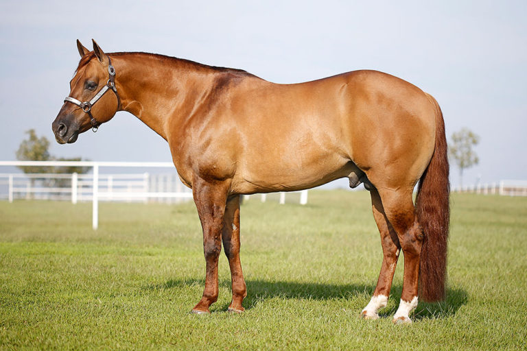 SG FROZEN ENTERPRISE [ICEMAN] Portrait