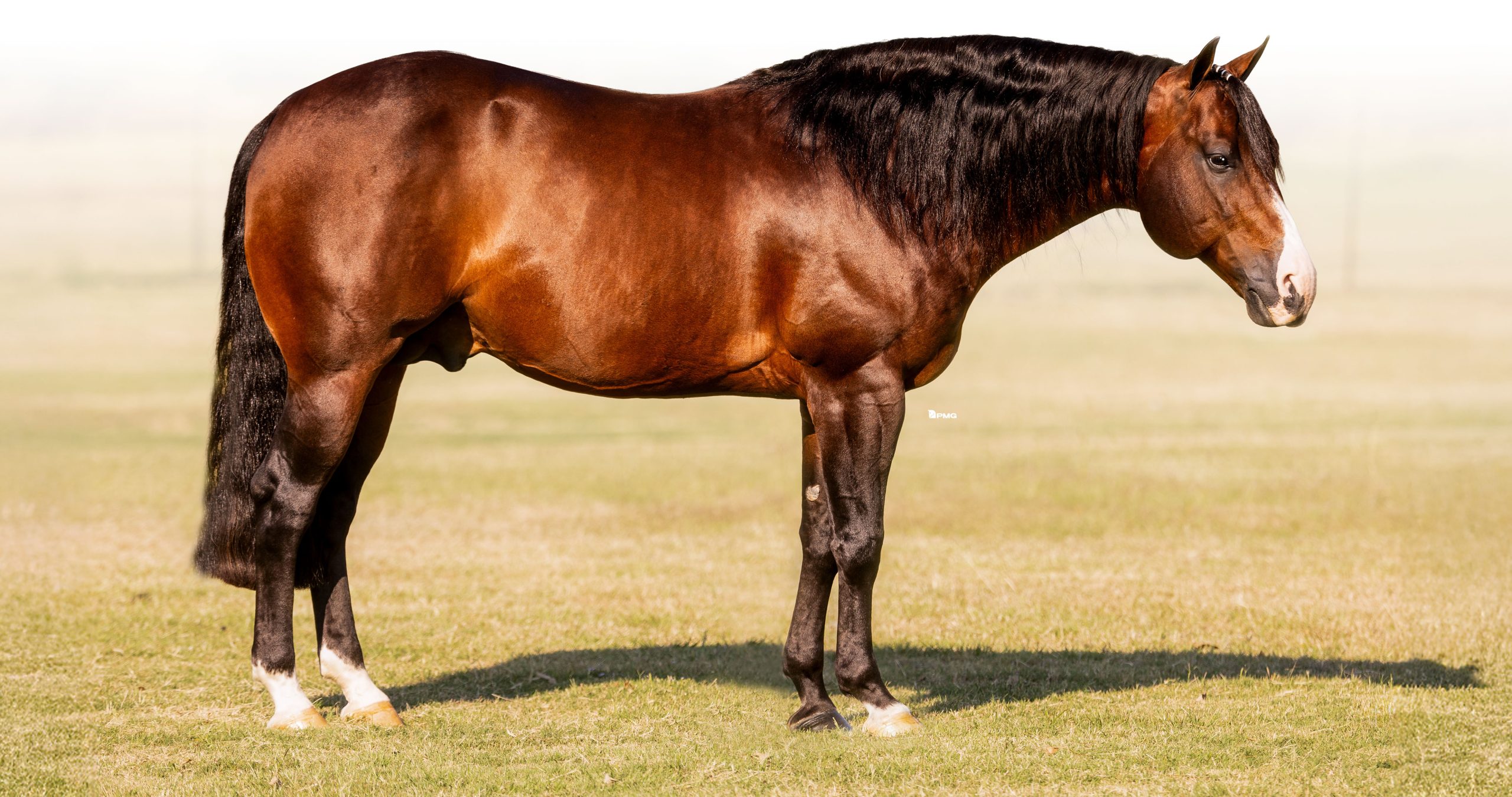 Smoking Trash Portrait