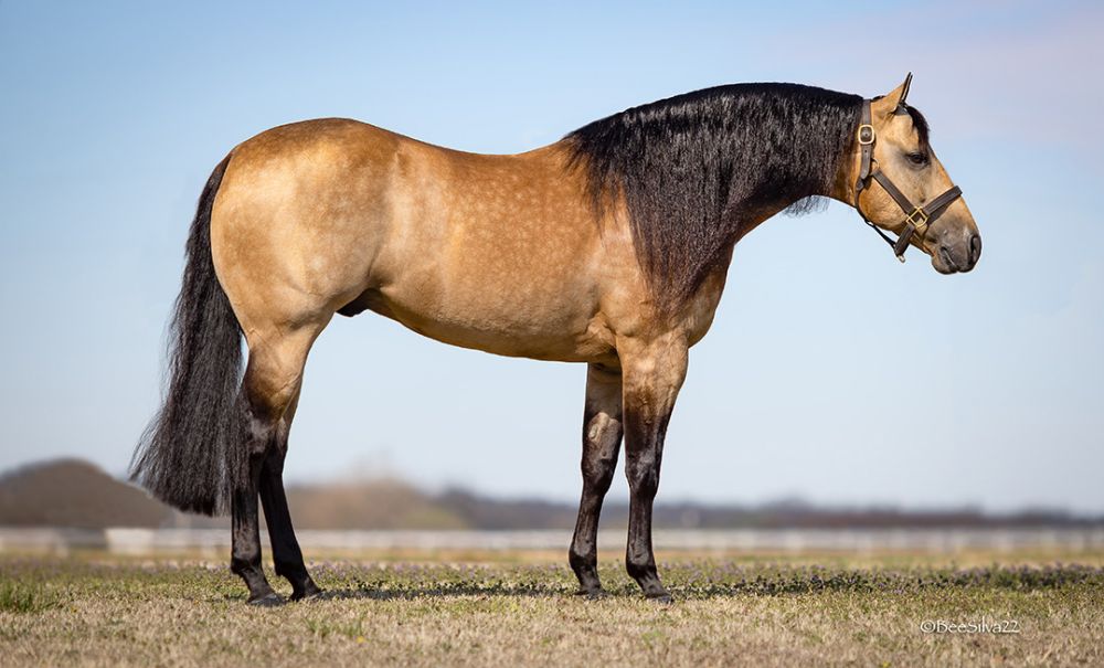 JERSEYS BABY DRIVER - HERCULES Portrait