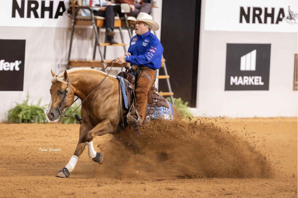 Customize My Dream Portrait