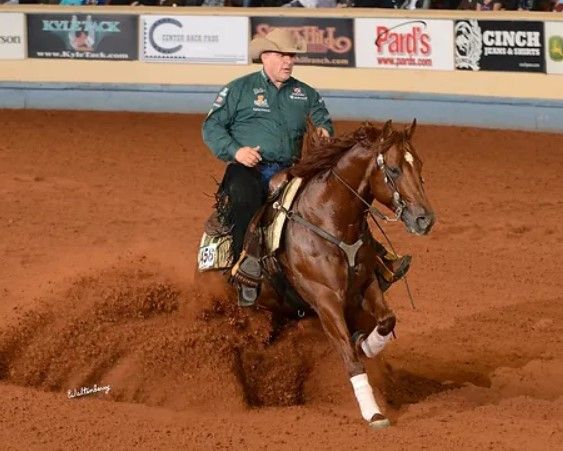 SHINE N SPOOK Portrait