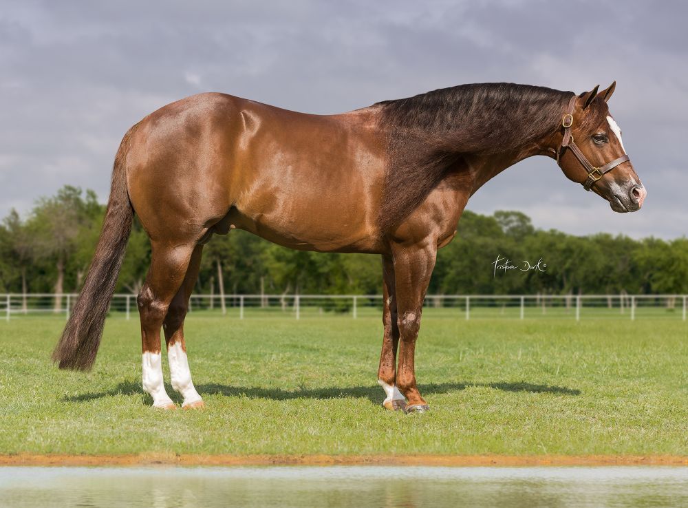 LIL JOE CASH Portrait