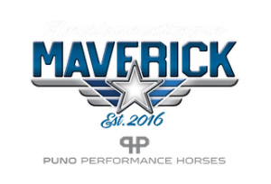 AMERICASNEXTTOPGUN [MAVERICK] Logo