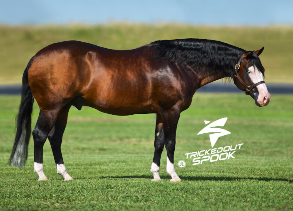 TRICKED OUT SPOOK Portrait