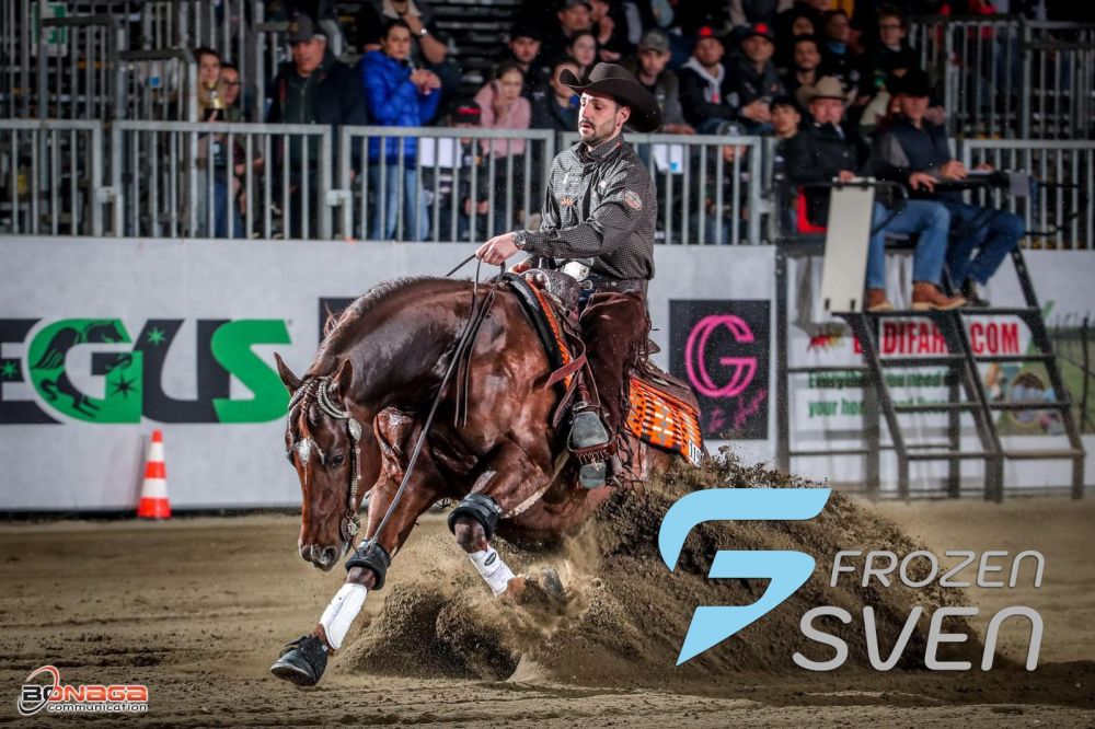 Frozen Sven Portrait