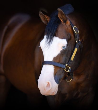 Spooks gotta whiz head