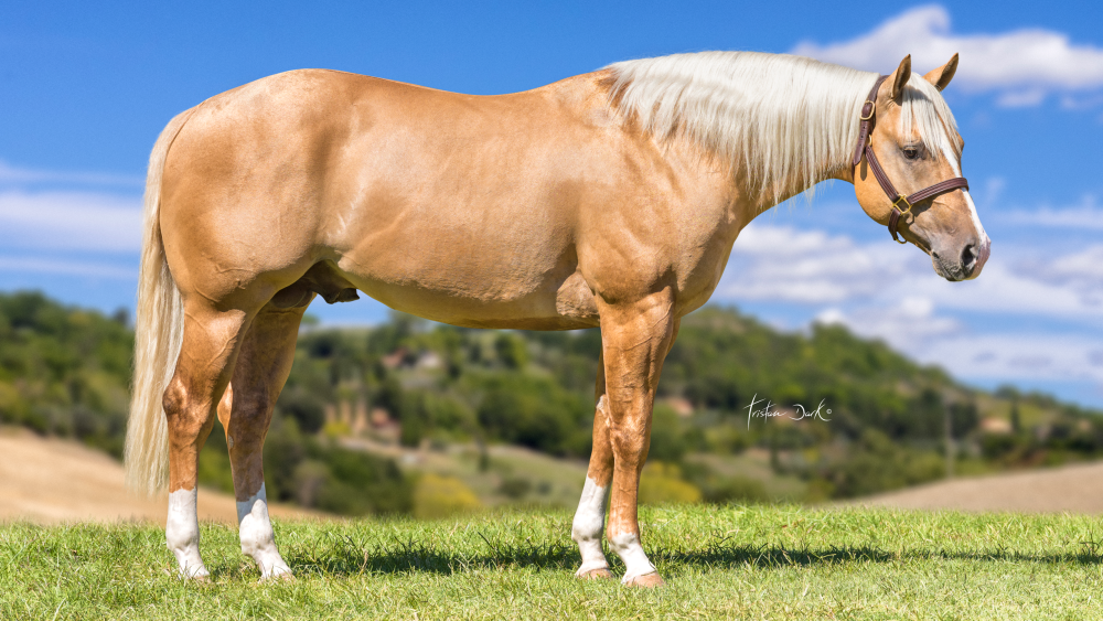 Flexing Guns N Town Portrait